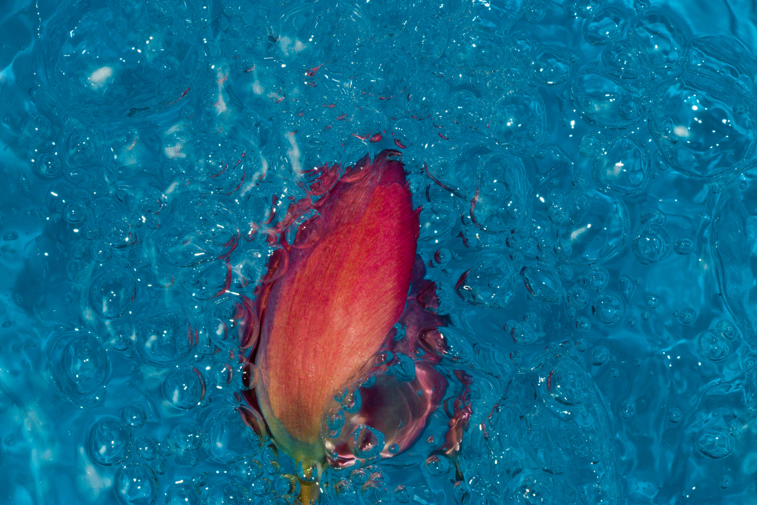 L’arte non è una posa ma resistenza alla mano che ti affoga